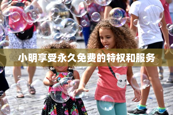 小明享受永久免费的特权和服务