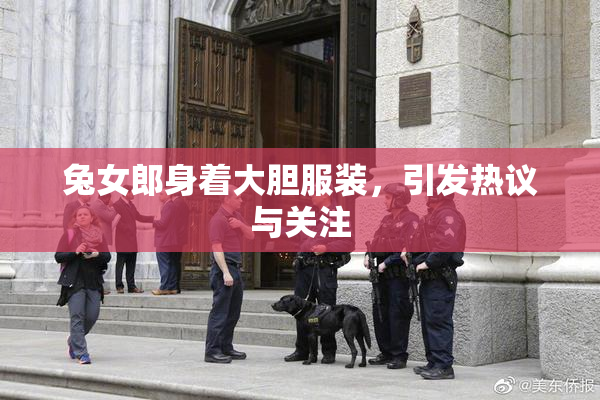 兔女郎身着大胆服装，引发热议与关注
