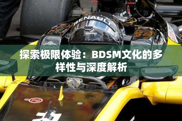 探索极限体验：BDSM文化的多样性与深度解析
