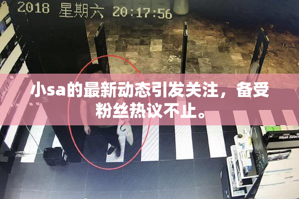小sa的最新动态引发关注，备受粉丝热议不止。