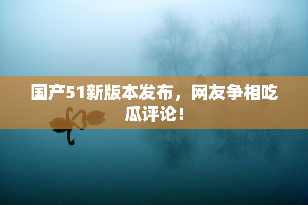 国产51新版本发布，网友争相吃瓜评论！
