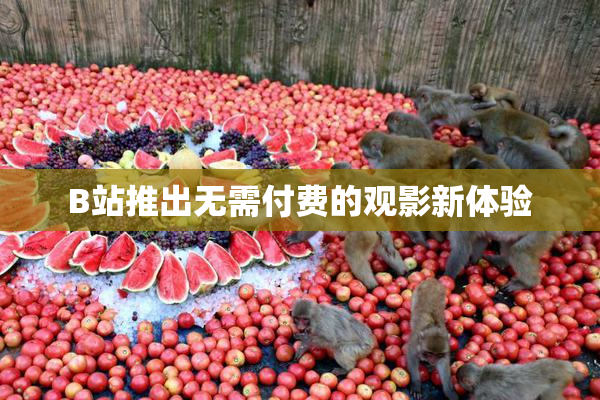 B站推出无需付费的观影新体验