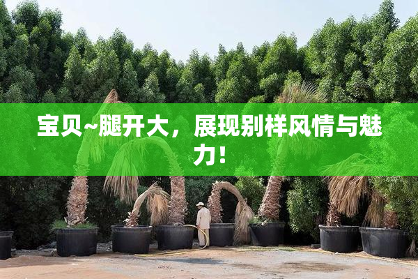 宝贝~腿开大，展现别样风情与魅力！
