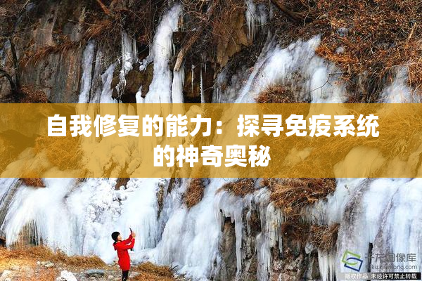 自我修复的能力：探寻免疫系统的神奇奥秘