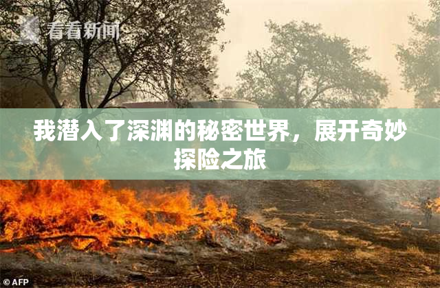 我潜入了深渊的秘密世界，展开奇妙探险之旅