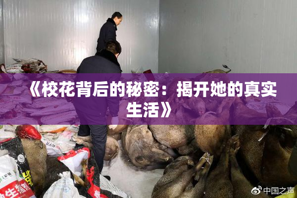 《校花背后的秘密：揭开她的真实生活》
