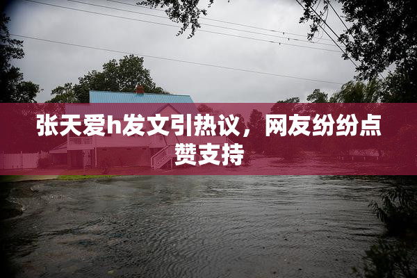 张天爱h发文引热议，网友纷纷点赞支持