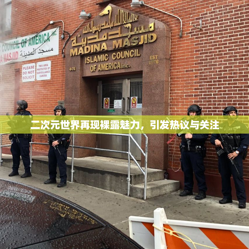 二次元世界再现裸露魅力，引发热议与关注