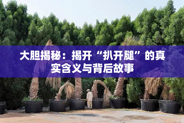 大胆揭秘：揭开“扒开腿”的真实含义与背后故事