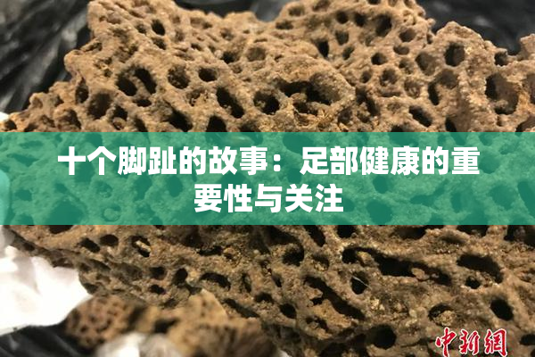 十个脚趾的故事：足部健康的重要性与关注