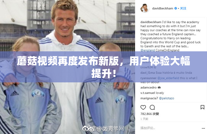 蘑菇视频再度发布新版，用户体验大幅提升！