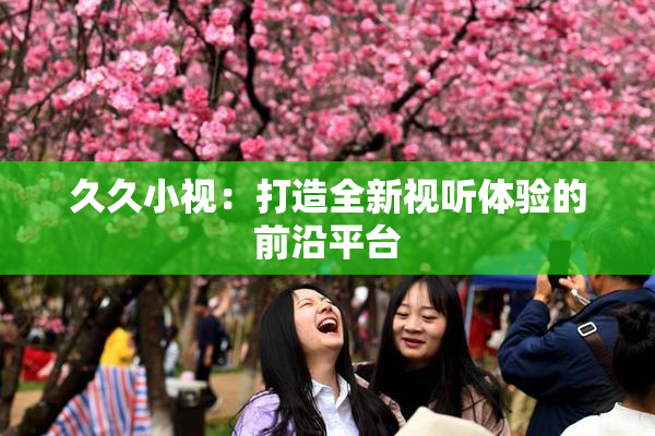 久久小视：打造全新视听体验的前沿平台
