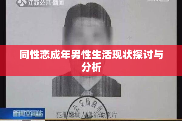 同性恋成年男性生活现状探讨与分析
