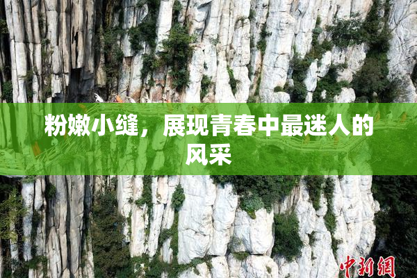 粉嫩小缝，展现青春中最迷人的风采