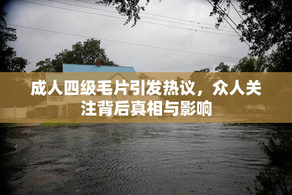 成人四级毛片引发热议，众人关注背后真相与影响