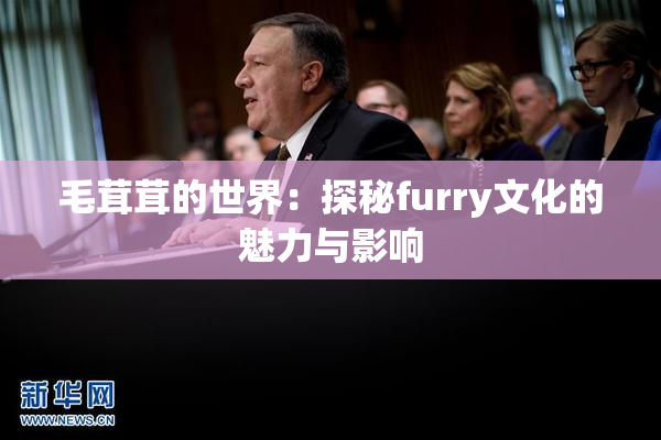毛茸茸的世界：探秘furry文化的魅力与影响
