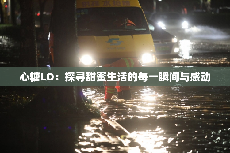 心糖LO：探寻甜蜜生活的每一瞬间与感动