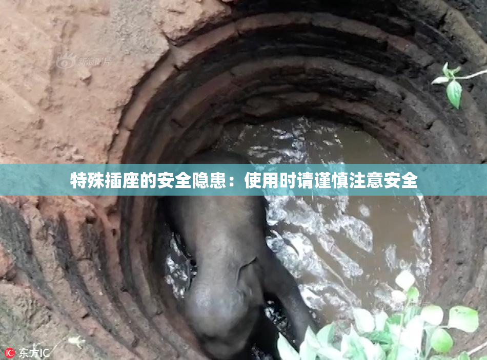 特殊插座的安全隐患：使用时请谨慎注意安全