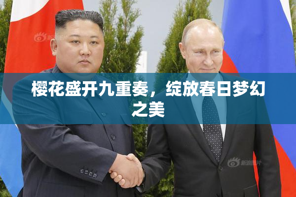 樱花盛开九重奏，绽放春日梦幻之美