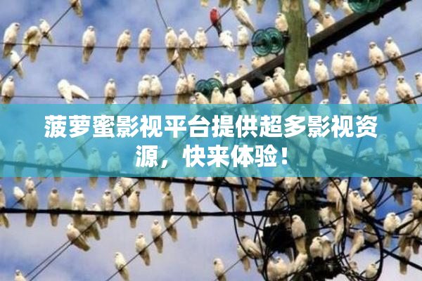 菠萝蜜影视平台提供超多影视资源，快来体验！
