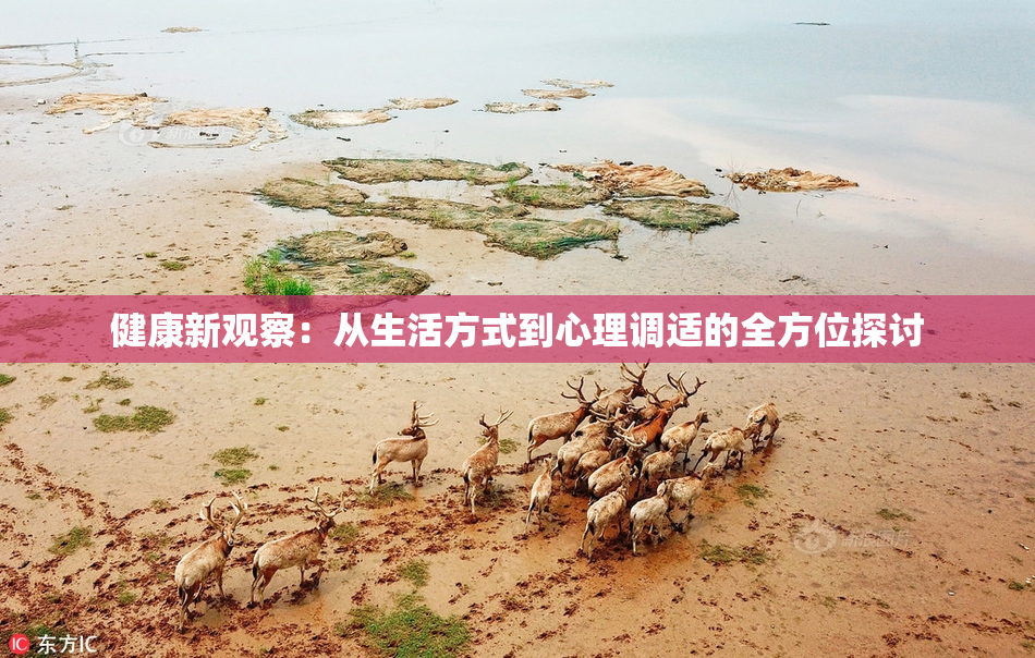 健康新观察：从生活方式到心理调适的全方位探讨