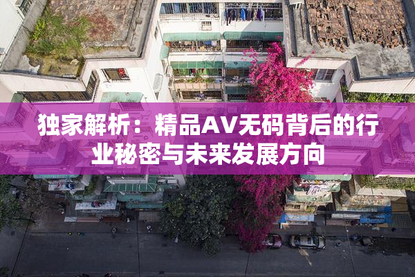 独家解析：精品AV无码背后的行业秘密与未来发展方向