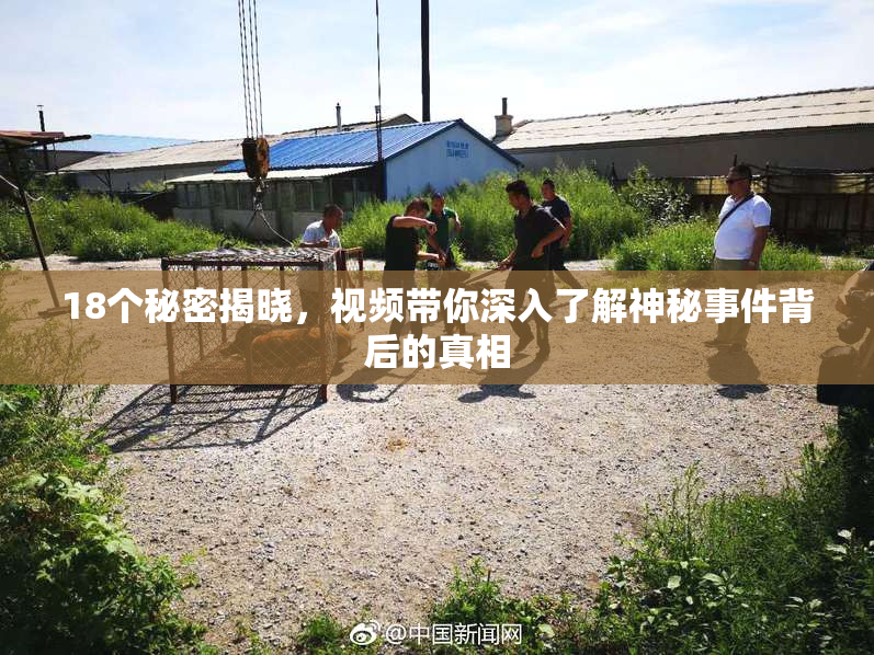 18个秘密揭晓，视频带你深入了解神秘事件背后的真相
