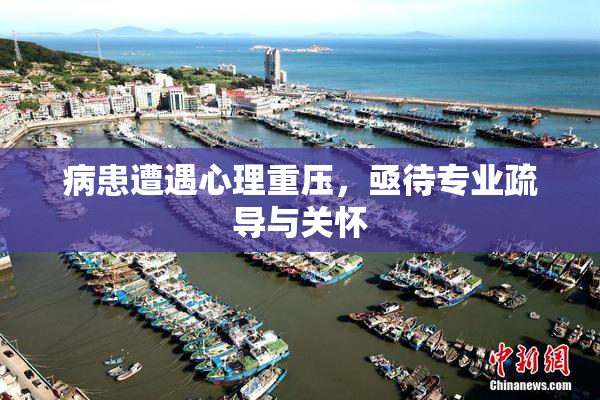 病患遭遇心理重压，亟待专业疏导与关怀