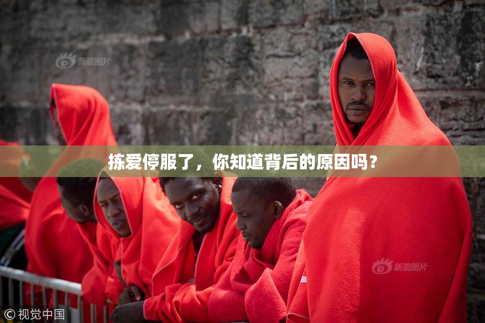 拣爱停服了，你知道背后的原因吗？