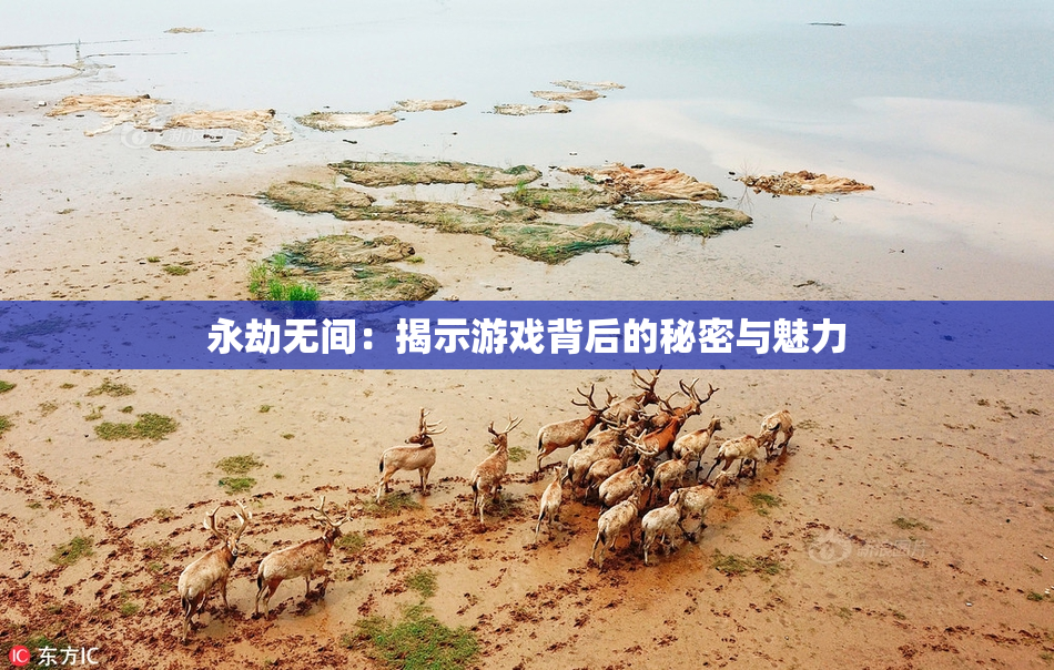 永劫无间：揭示游戏背后的秘密与魅力