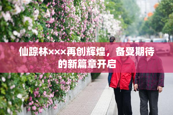 仙踪林×××再创辉煌，备受期待的新篇章开启