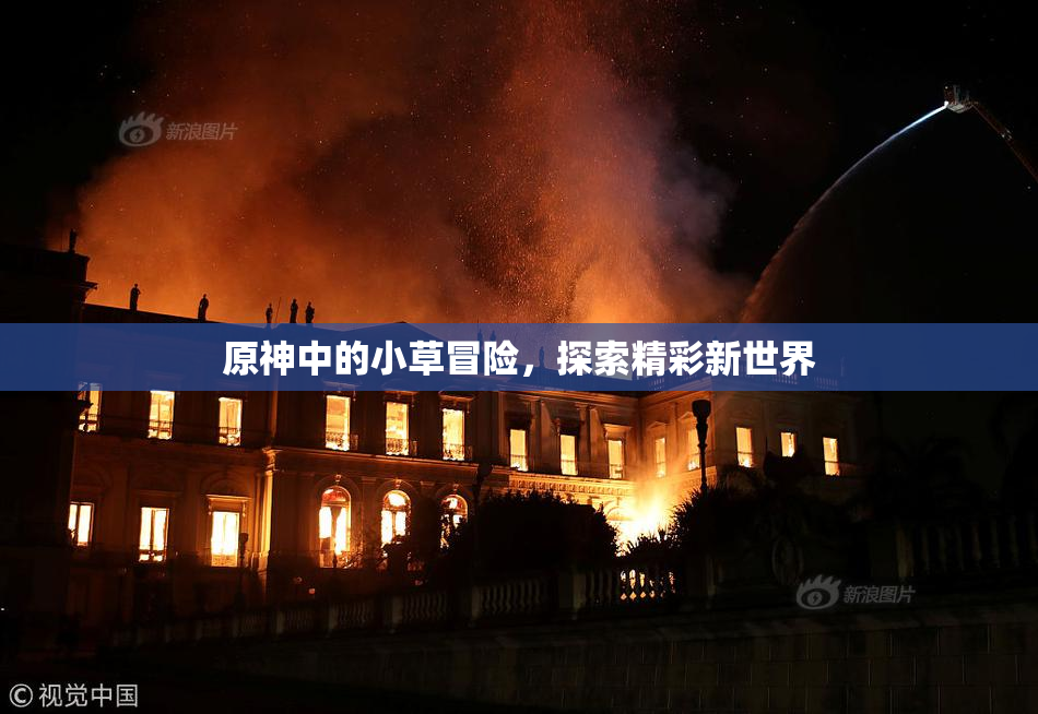 原神中的小草冒险，探索精彩新世界
