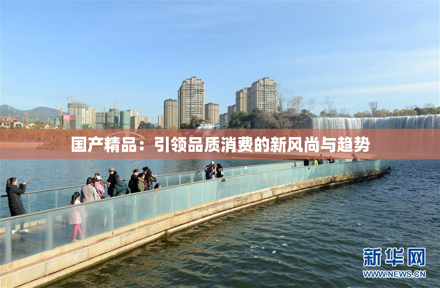 国产精品：引领品质消费的新风尚与趋势