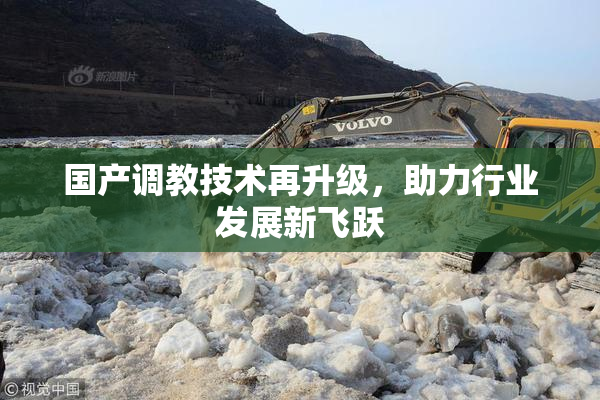 国产调教技术再升级，助力行业发展新飞跃
