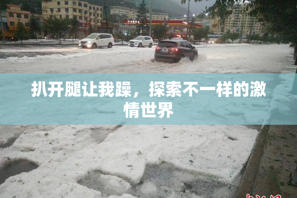 扒开腿让我躁，探索不一样的激情世界