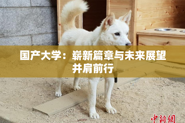 国产大学：崭新篇章与未来展望并肩前行