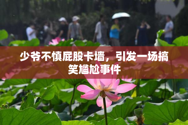 少爷不慎屁股卡墙，引发一场搞笑尴尬事件