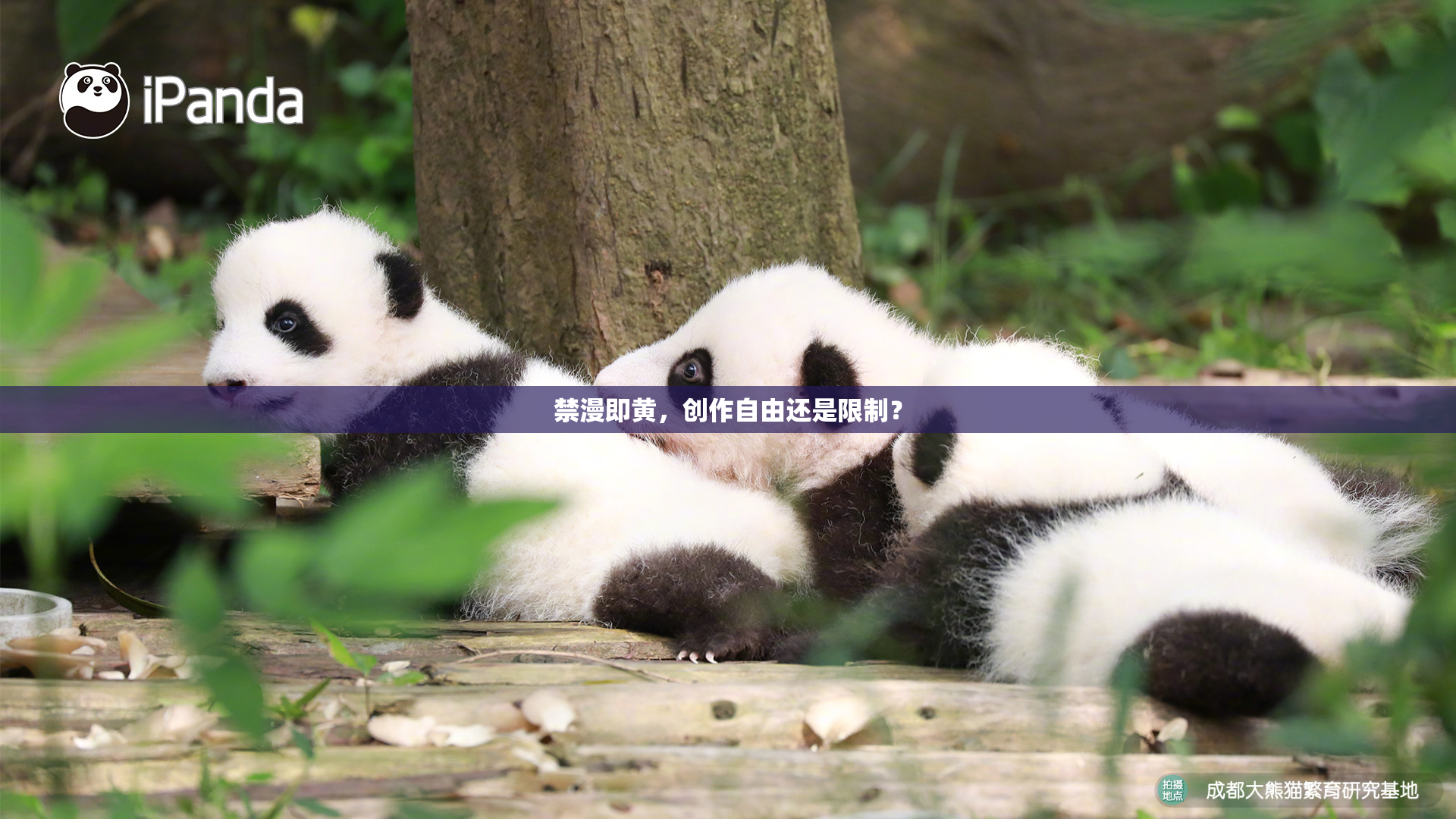 禁漫即黄，创作自由还是限制？