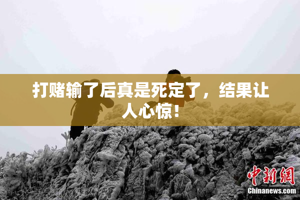 打赌输了后真是死定了，结果让人心惊！