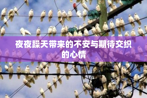 夜夜躁天带来的不安与期待交织的心情