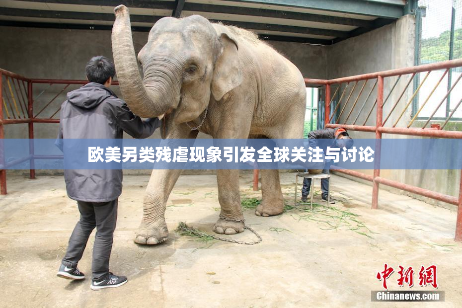 欧美另类残虐现象引发全球关注与讨论