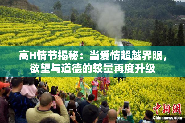 高H情节揭秘：当爱情超越界限，欲望与道德的较量再度升级