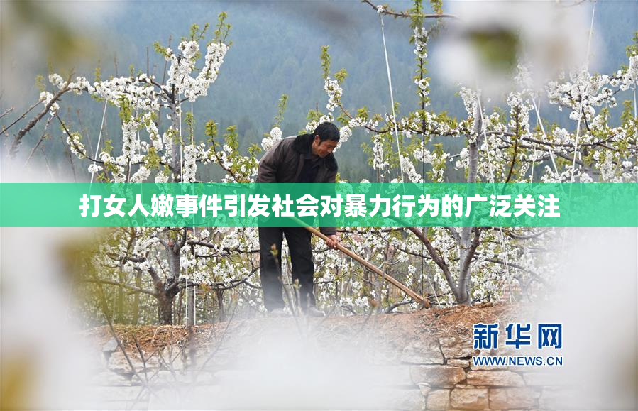 打女人嫩事件引发社会对暴力行为的广泛关注