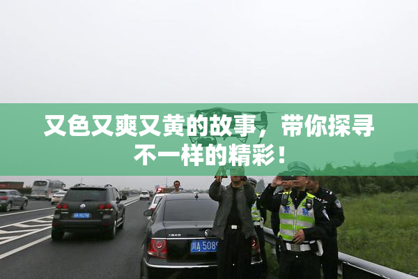 又色又爽又黄的故事，带你探寻不一样的精彩！