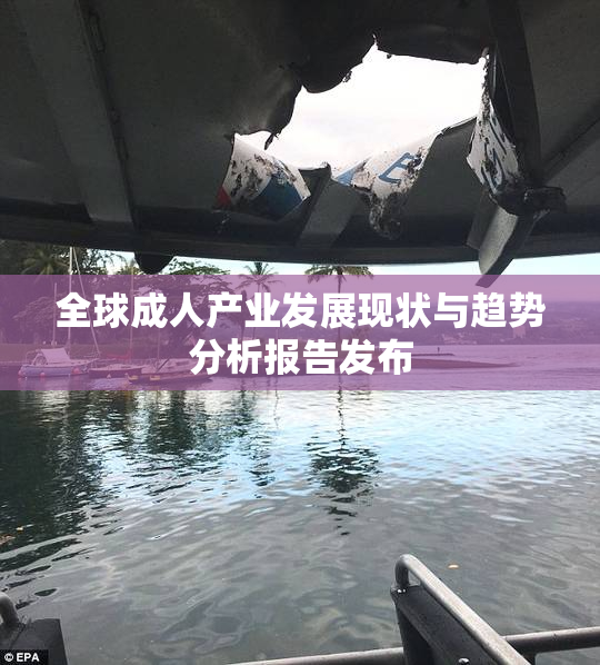 全球成人产业发展现状与趋势分析报告发布