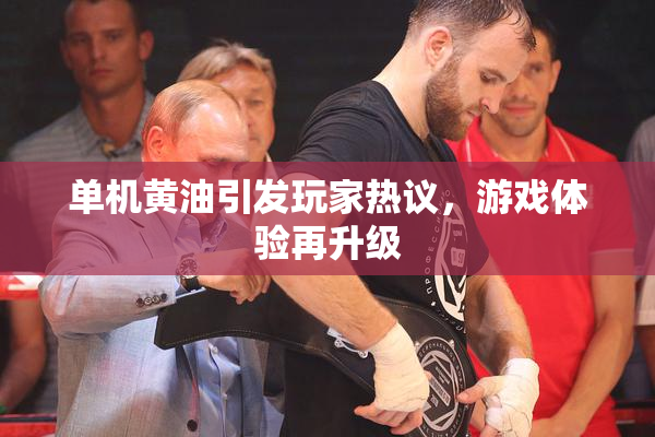 单机黄油引发玩家热议，游戏体验再升级
