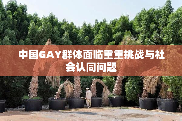 中国GAY群体面临重重挑战与社会认同问题