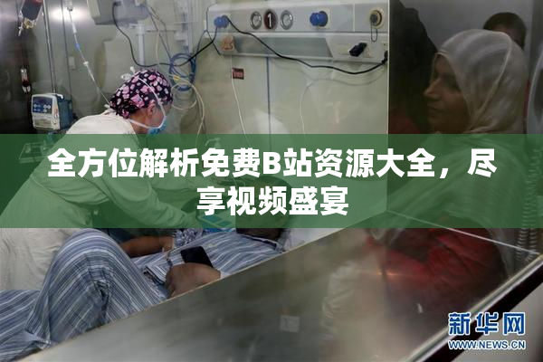 全方位解析免费B站资源大全，尽享视频盛宴