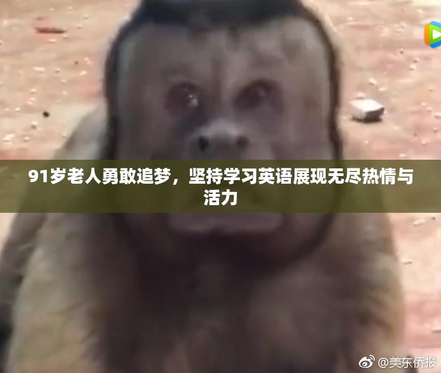 91岁老人勇敢追梦，坚持学习英语展现无尽热情与活力
