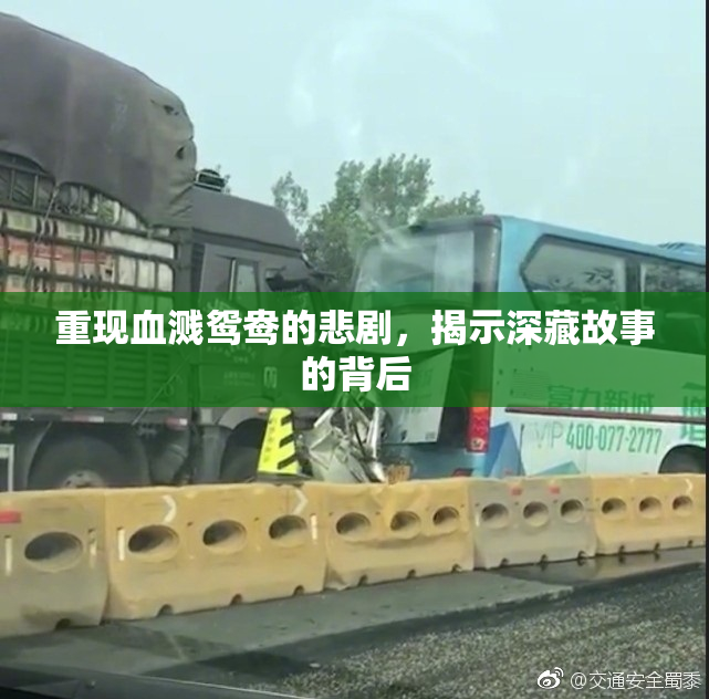 重现血溅鸳鸯的悲剧，揭示深藏故事的背后